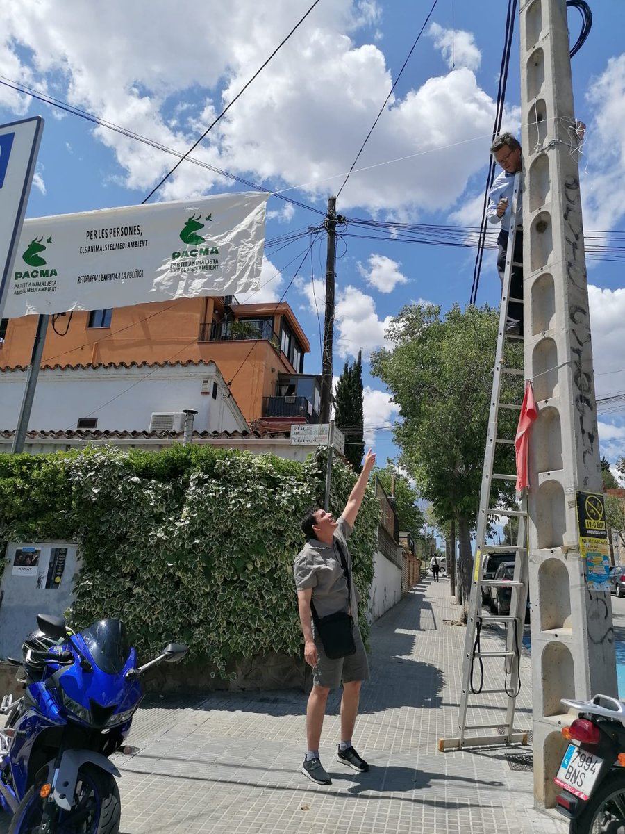 Els candidats de #pacma a #valldoreix i sant cugat en plena tasca de penjar pancartes. Volem una política #empàtica, la millor manera és arremengar-se. Penjar pancartes a cop de talonari crea compromisos que poden condicionar les actuacions posteriors.