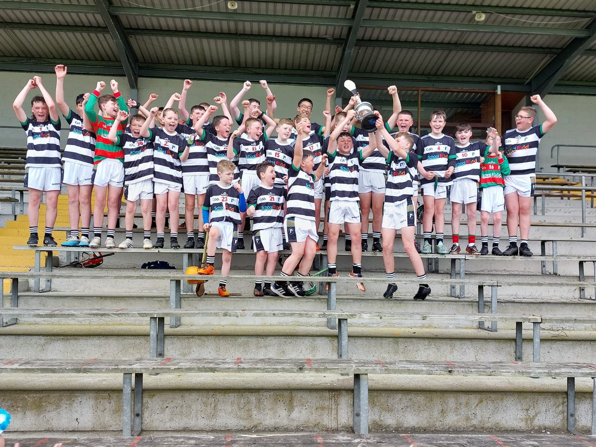 Birr GAA tweet media