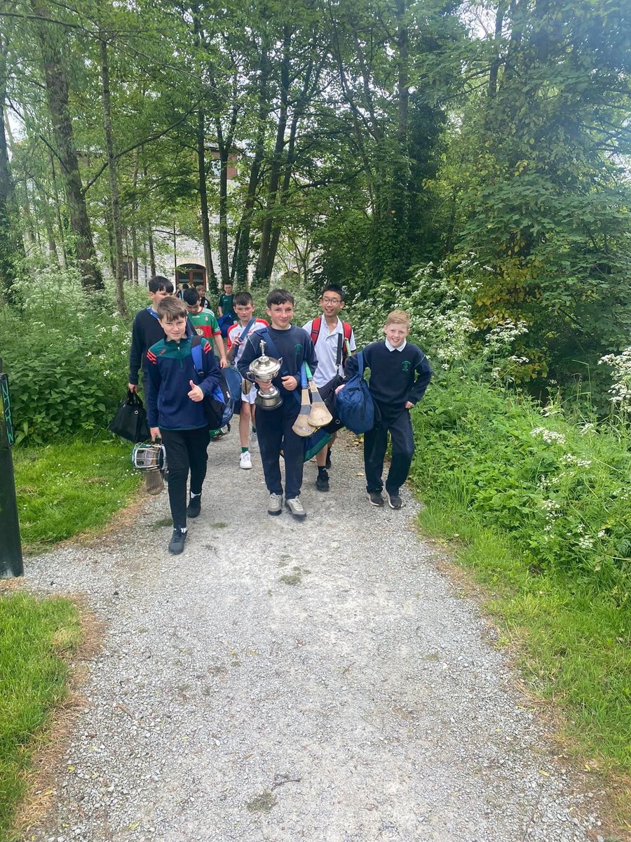 Birr GAA tweet media