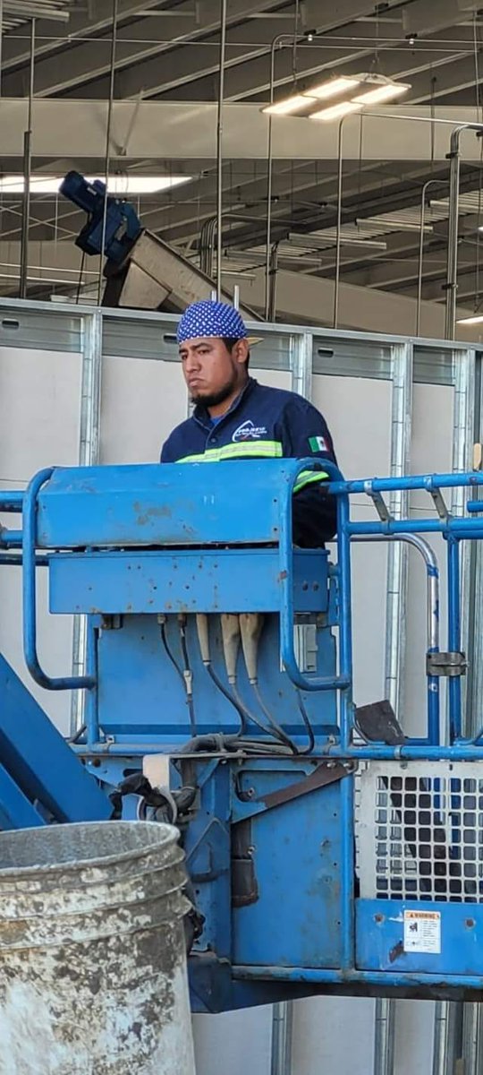 El Fedelobo tweet media