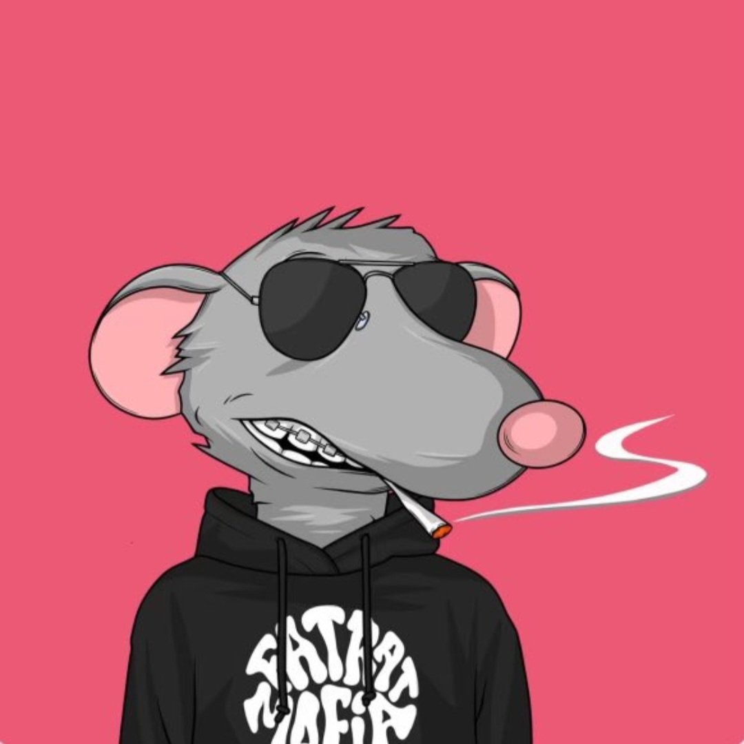 Guess who just joined the Fattest Mafia Around <a href="/fatratmafia/">Fat Rat Mafia 🧀🐭</a> THIS Girl did Thanks too <a href="/TheGardensNFT/">The Gardens</a> MINT SPACE!! BUZZZ in here and get you some! Giveaways every 2 hours! MINT SOME <a href="/TheGardensNFT/">The Gardens</a> Get you a Queen!