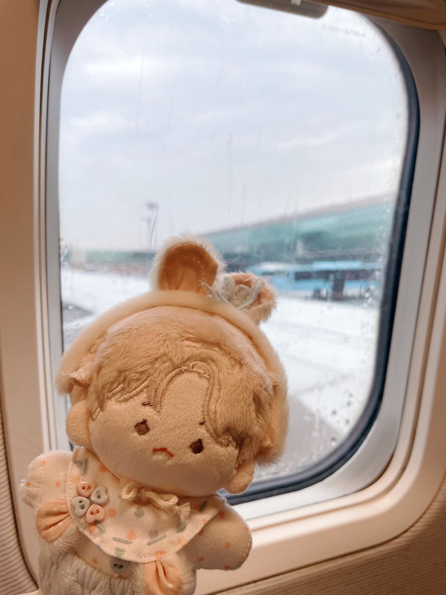 sunlight__83's tweet photo. 땡글이 집에 돌아가요오🏠 https://t.co/nGqMb01g3b