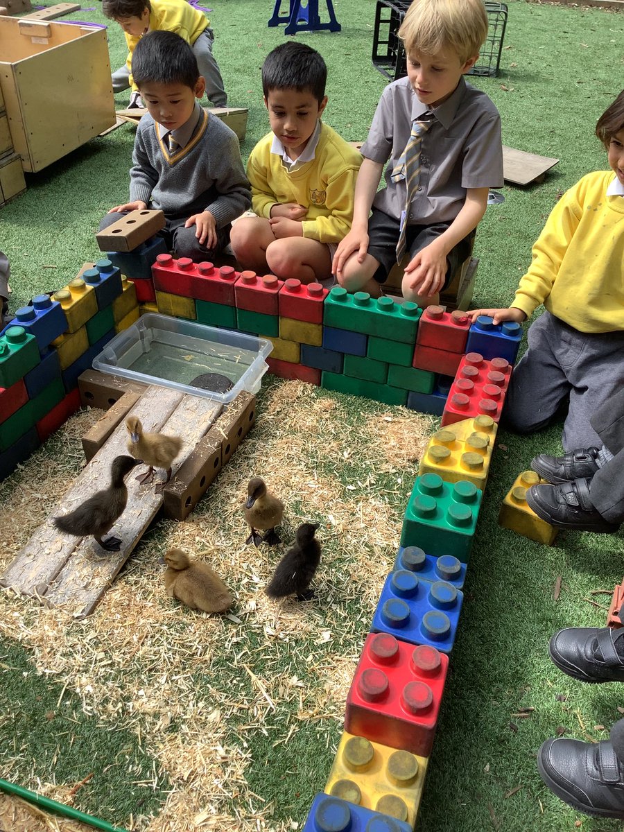 WCPS_Reception tweet media