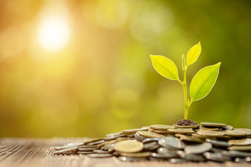 argo_lands's tweet photo. 🌱💰 Sustainability or profit? 

Why settle for one when you can have both?

👉https://t.co/YERwZnMdcV https://t.co/P7TM85Rl86