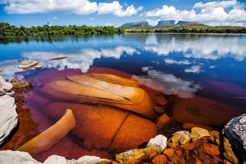 🌿 ¿Estás buscando una aventura inolvidable rodeado de una belleza natural impresionante?

¡Visita nuestro campamento en Canaima! 💚

Contáctanos y vive esta experiencia única.

📲 +584143991697
📲 +584142297695
📲 +584149050417

#canaima #turismocanaima #aventura #aramerúlodge