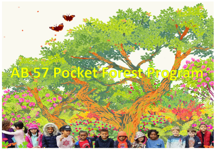 cal_alive's tweet photo. GREAT NEWS!
AB 57 "Pocket Forest" passed to Assembly floor!
🌱Pocket forests bring benefits of nature to urban areas: they improve air, reduce heat, & save #Biodiversity
We hope #CALeg Assembly is ready to pass this bill & help #biodiversity #30x30
Thank you @Ash_Kalra👏🏼 https://t.co/BAJNgXFURL