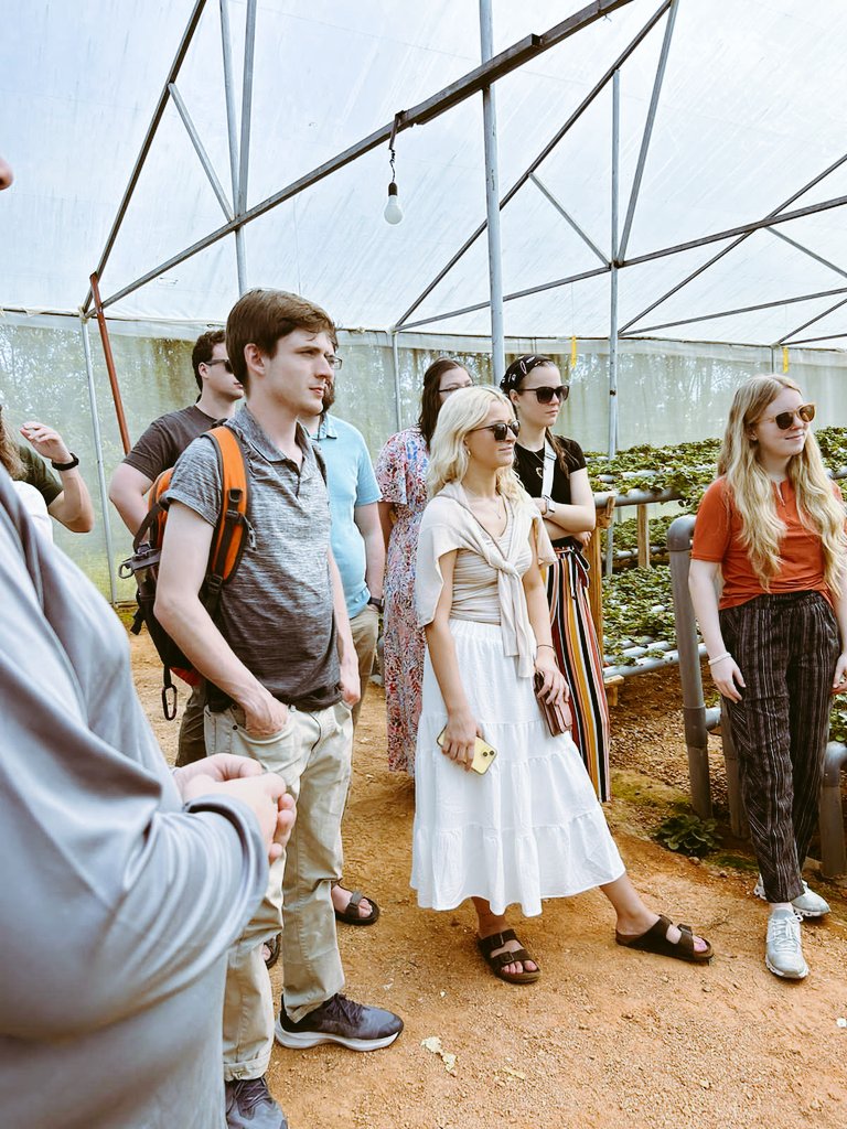 Germin8Rwanda's tweet photo. We were honored to give a guided tour of our strawberries facility in @BugeseraDistr today to students from the University of Central Arkansas @ucabears to learn how we are leveraging on technology in agriculture to address future challenges. #Hydroponics #Rwanda https://t.co/CQA0XW1gMB
