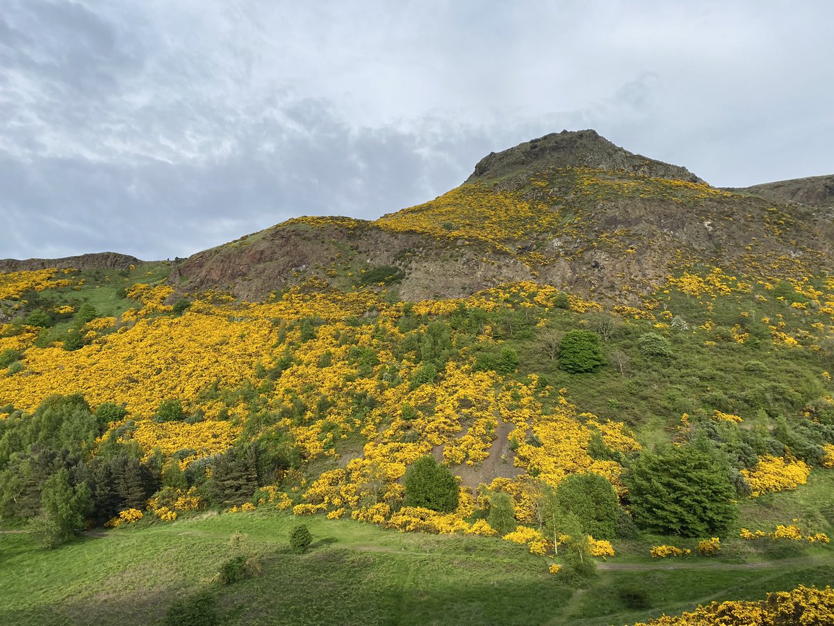 I had to get some more steps in today <a href="/step_count/">Step Count Challenge</a>.  It was well worth it - fantastic to be out in Holyrood Park
