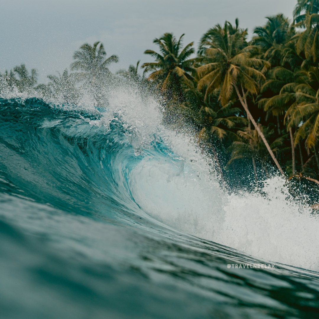 Feel the power of nature!Exploring the mesmerizing breaking waves of Mentawai Islands, Indonesia
travelnrelax.com/all-inclusive-…
Blog : travelnrelax.com/common-mistake…
#surf  #waves #indonesia #grouptravel #booking