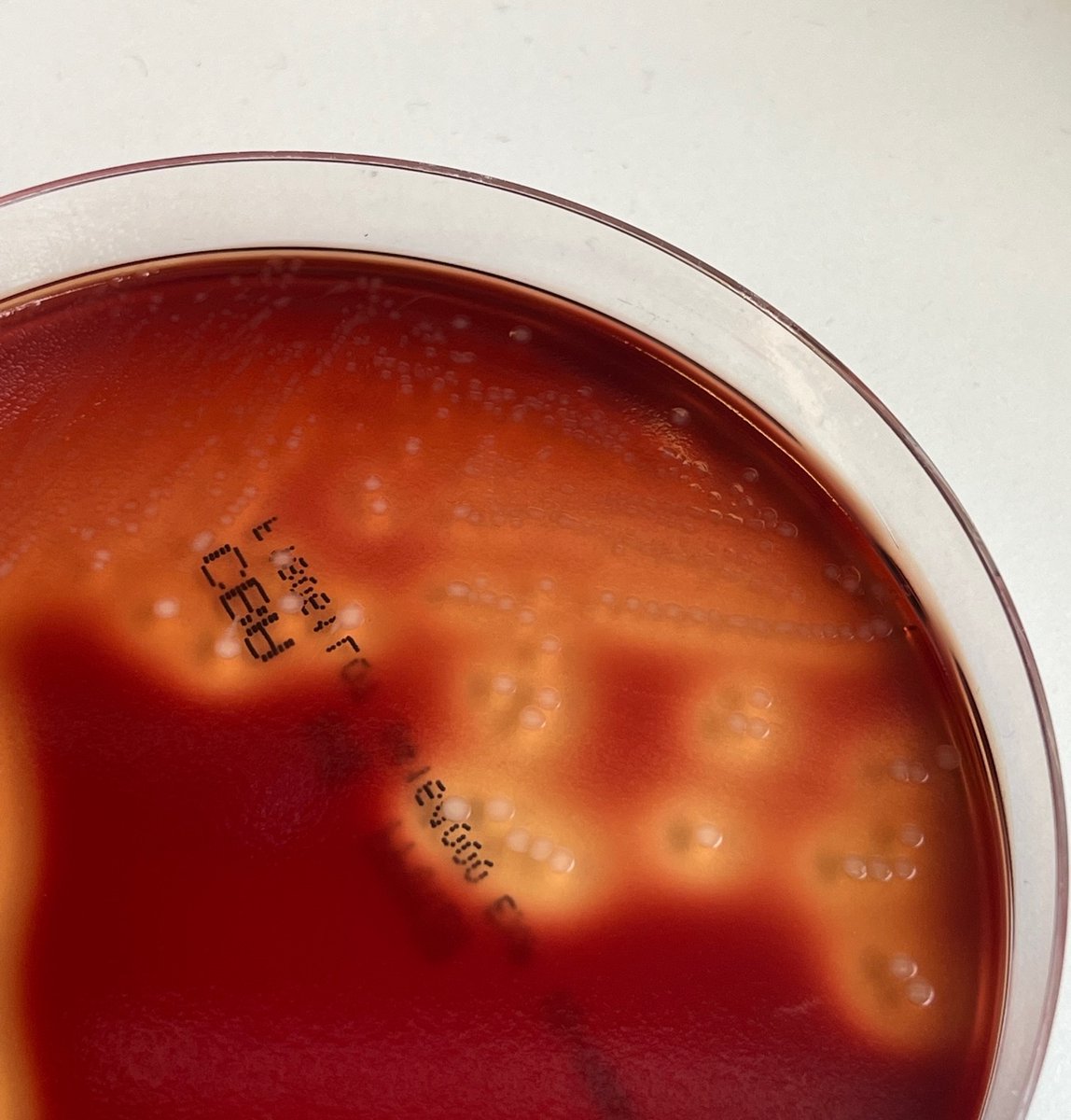 Valerie Soo tweet media