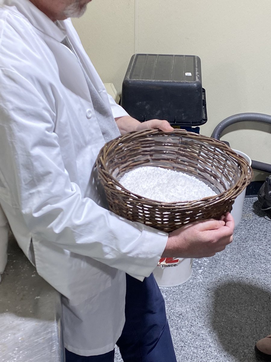 Dorota Mariak Patchett tweet media