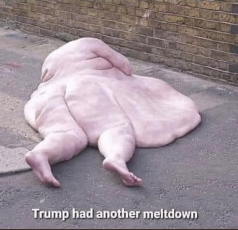 <a href="/PalmerReport/">Palmer Report</a> Trump sighting!! Hence the silence 🤫