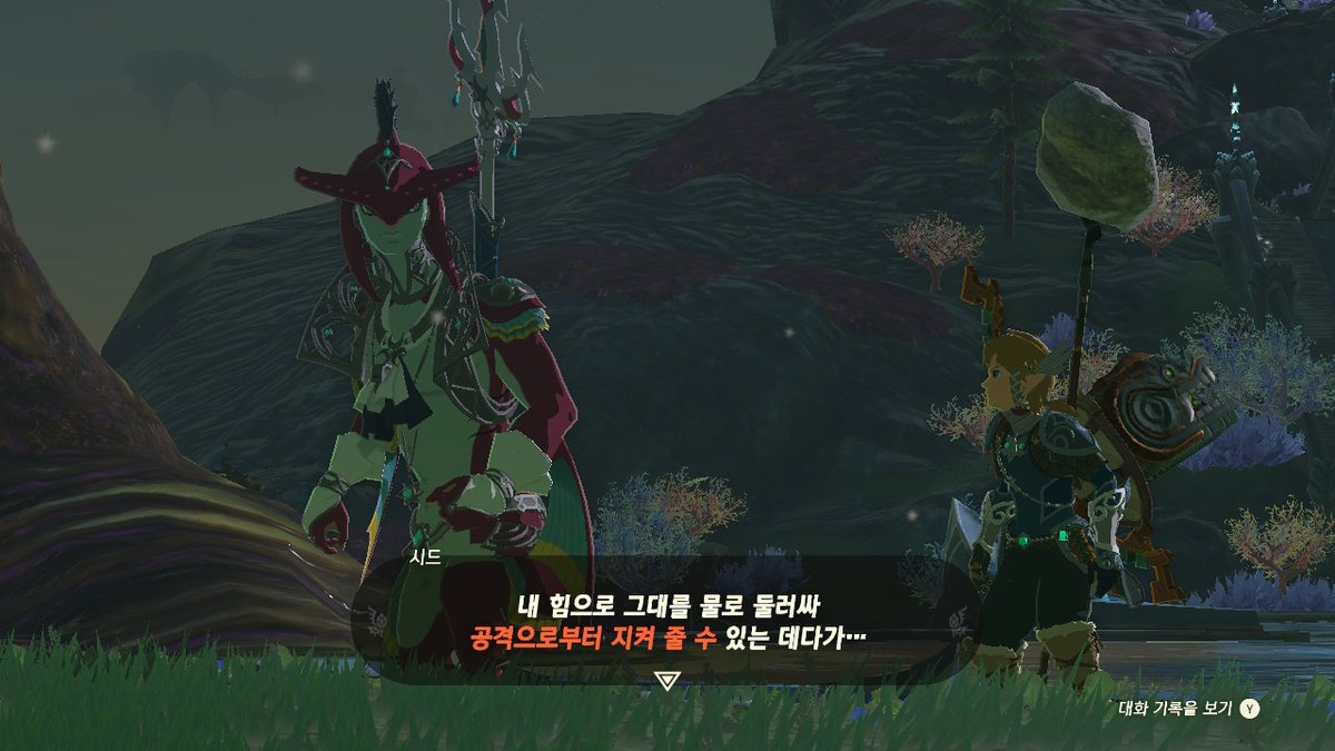 enviru_'s tweet image. #젤다의전설티어스오브더킹덤 #TearsOfTheKingdom #Zelda #NintendoSwitch