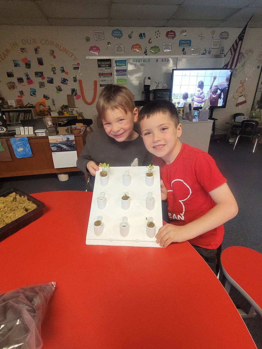 Amanda Gallerani tweet media