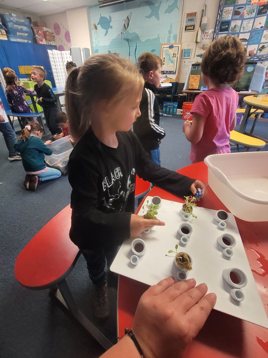 Amanda Gallerani tweet media