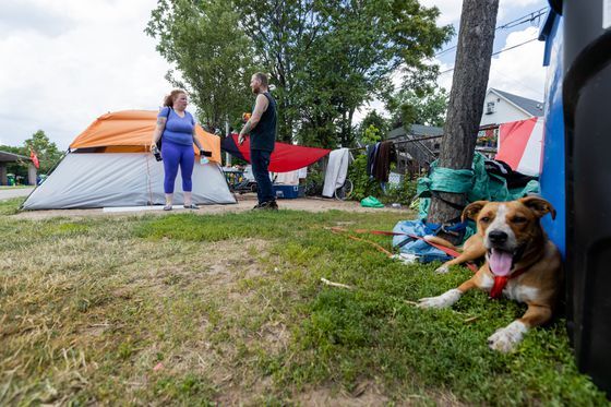 Hamilton council rejects plan to restrict homeless encampments