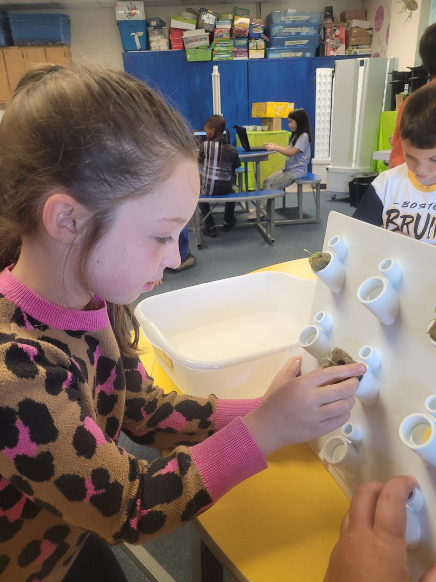 Amanda Gallerani tweet media