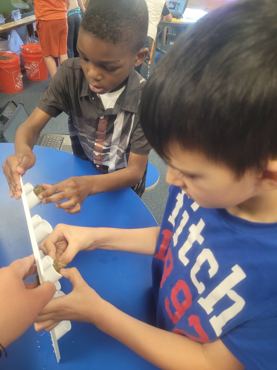 Amanda Gallerani tweet media