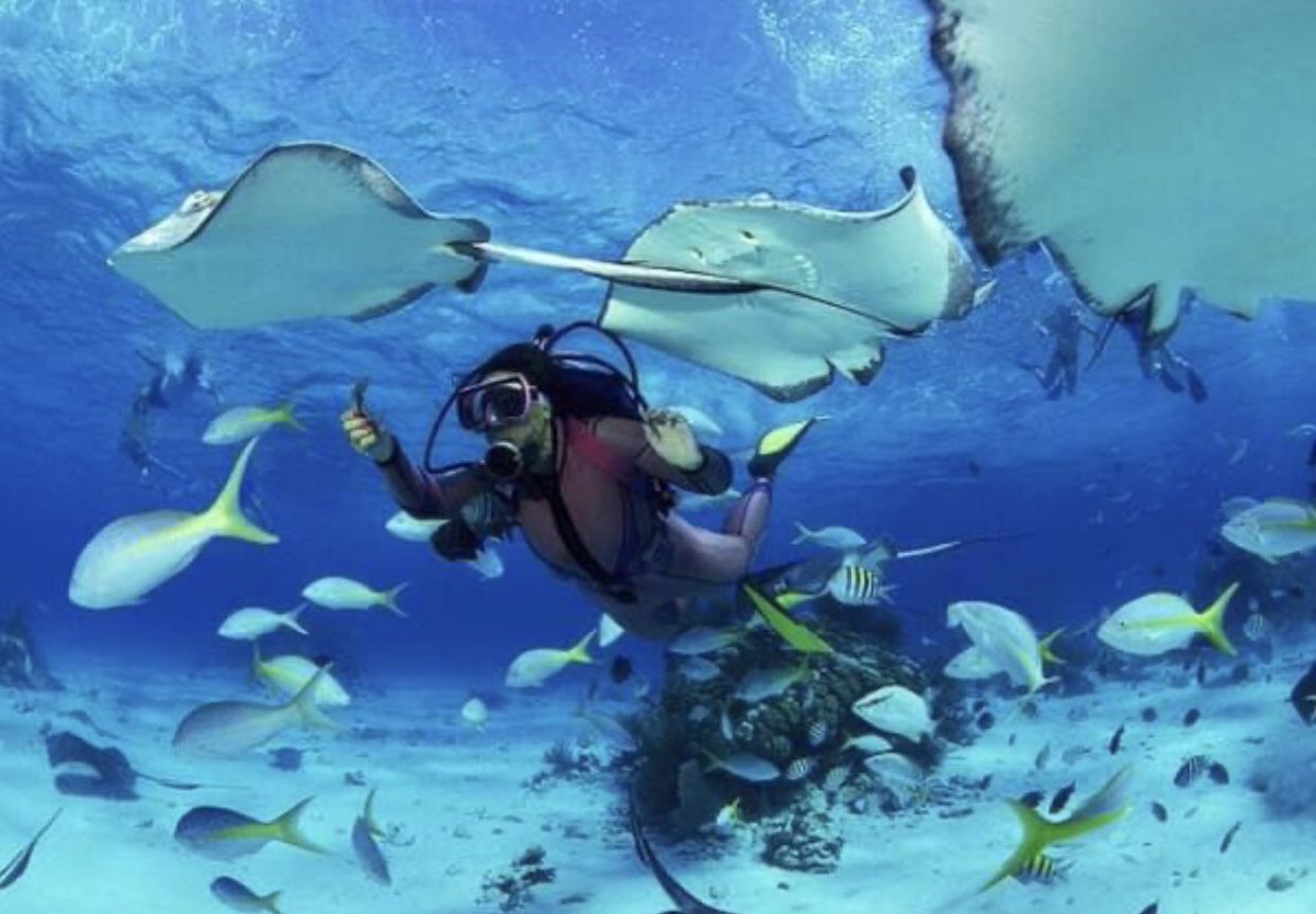 Oserez-vous le faire ? 

Découvrez les merveilles de l'océan, aventurez-vous avec <a href="/MarlinVaradero/">Marlin Marina Varadero</a>.

Nous vous attendons!

#Varaderotravel #Cubatravel