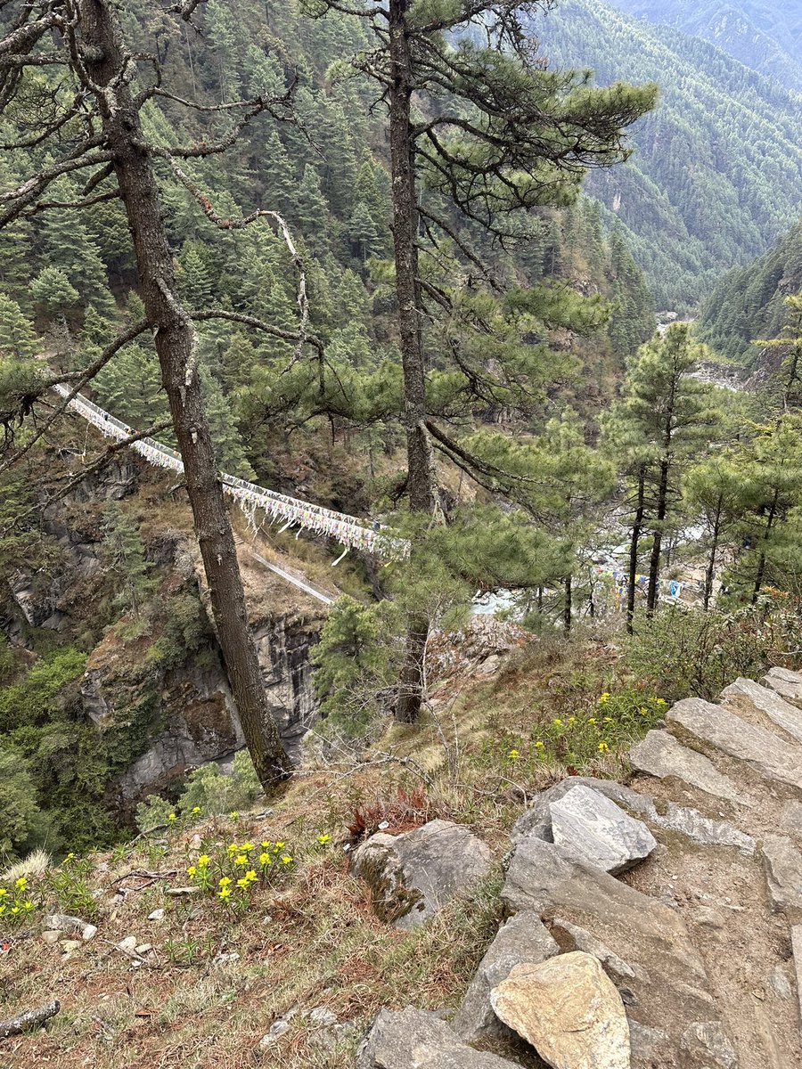 JaredSudworth's tweet image. Last day of trekking done 13 mile up and down from Namche to Lukla and across the Hillary Bridge again 👀
Just got to survive a flight from the worlds most dangerous airport back to Kathmandu now 😳 #lukla #Nepal