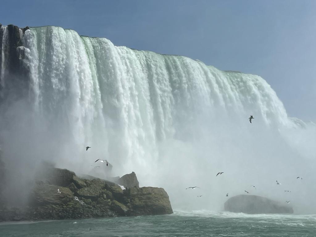 The boys had a cracking day visiting Niagra 💙🇬🇧
#backonduty #canada2023 🇨🇦
<a href="/CanadaRLnews/">Canada Rugby League News</a> <a href="/dantate13/">Daniel Tate</a> <a href="/GBpoliceRL/">Great Britain Police Rugby League Association</a> <a href="/Gibmeister111/">Neil Gibson</a> <a href="/moorey2012/">Steven Moore</a> <a href="/Eels84/">Ben Eley</a> <a href="/Rich_Ellis11/">Rich Ellis</a> <a href="/Jamie_Ca55idy/">Jamie Cassidy</a> @KhanageCapital