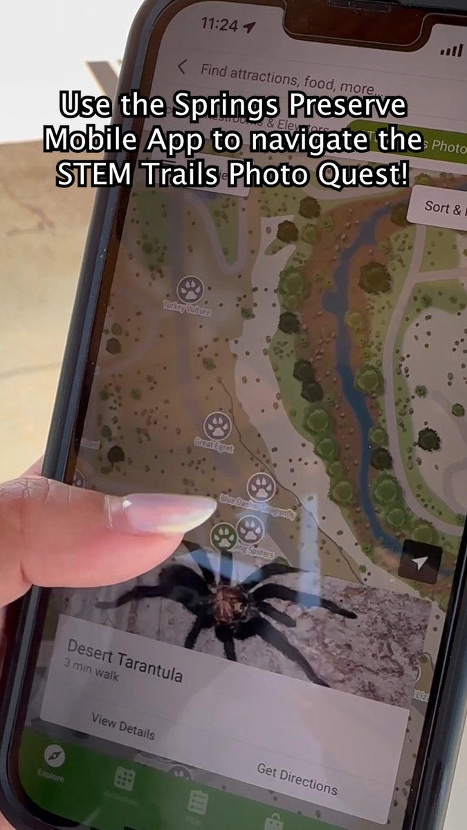 Springs Preserve on Twitter "Who said hikes are only for hiking? 🏃 The