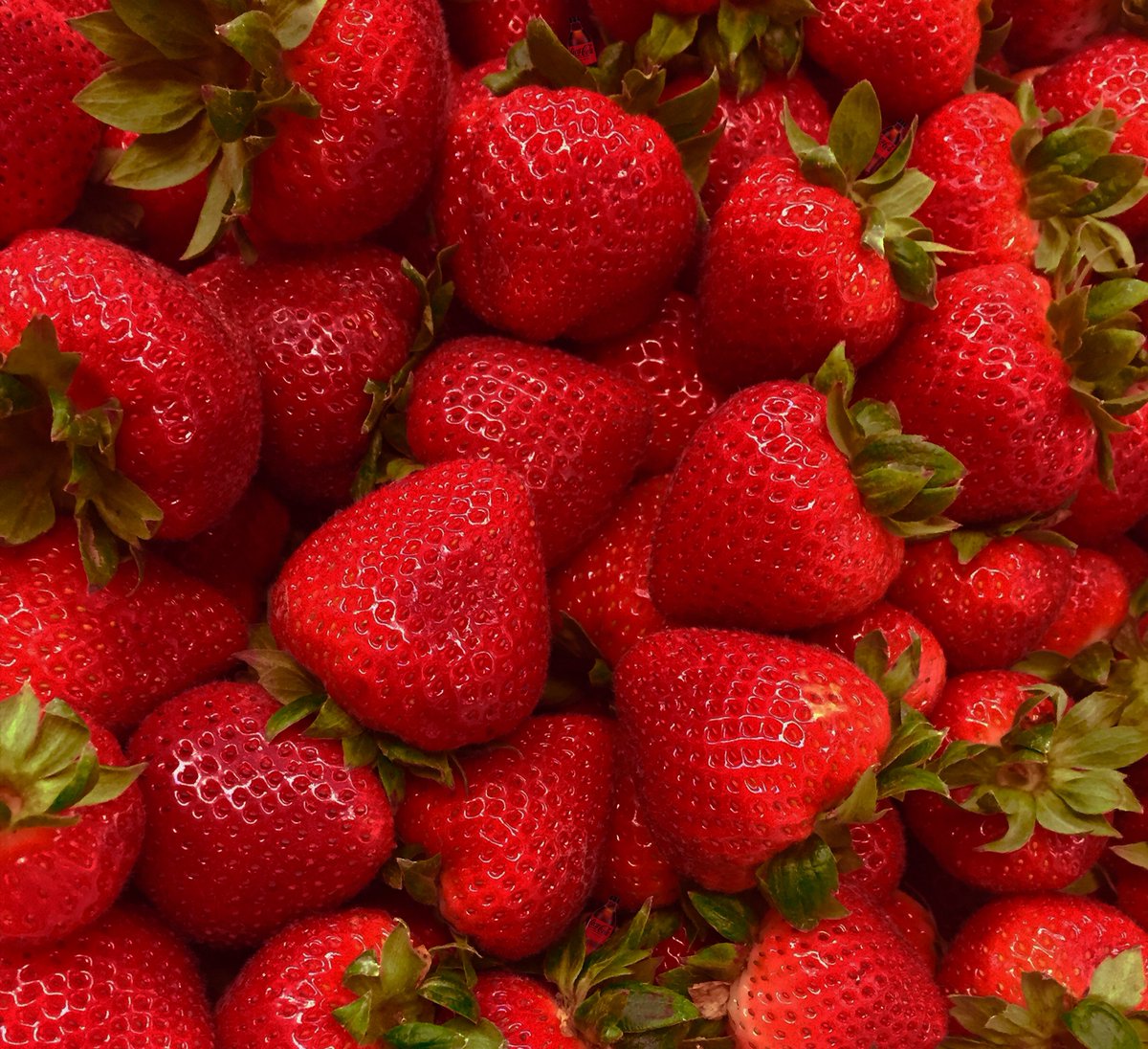 CocaColaSWB's tweet image. We&apos;ve hidden Coca-Cola bottles, and this time, we&apos;re letting you figure out how many! Leave a comment with how many you were able to find.

#cocacola #hiddenimage