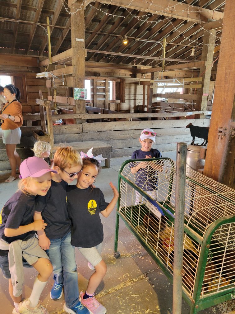 Maya Nardone tweet media