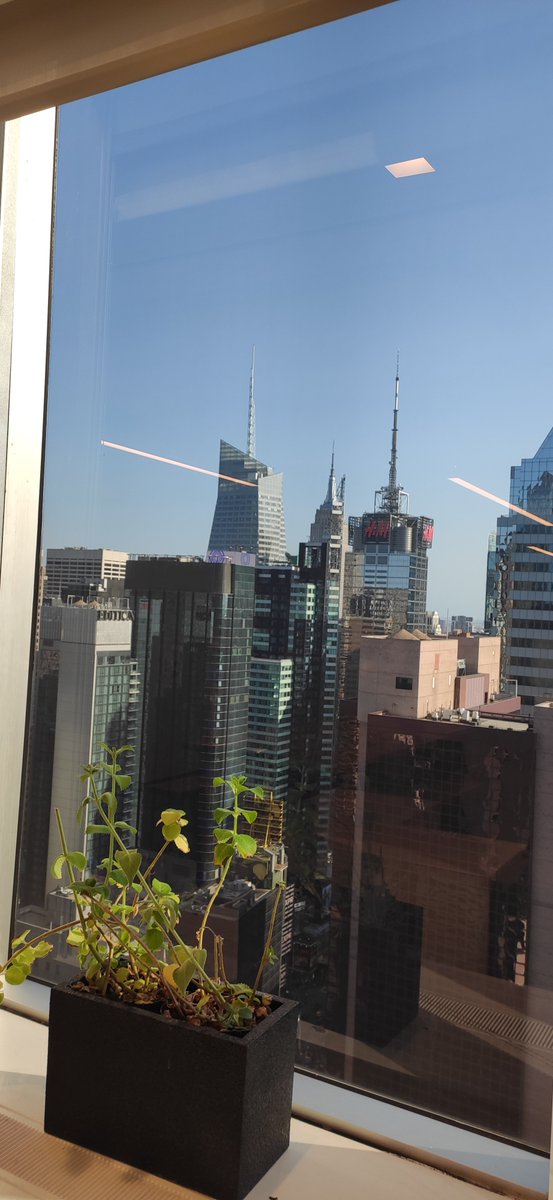 KatalinFogas's tweet image. Great conversations at the #APItheDocs meetup hosted by @kvantomme and @computrnerd at the @MongoDB office in New York 🗽🇺🇲
#developersuccess #APIeconomy #API #devrel #developerportal #technicalwriting #APIdocumentation