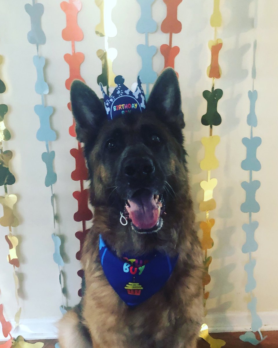 BigBadWolf tweet media