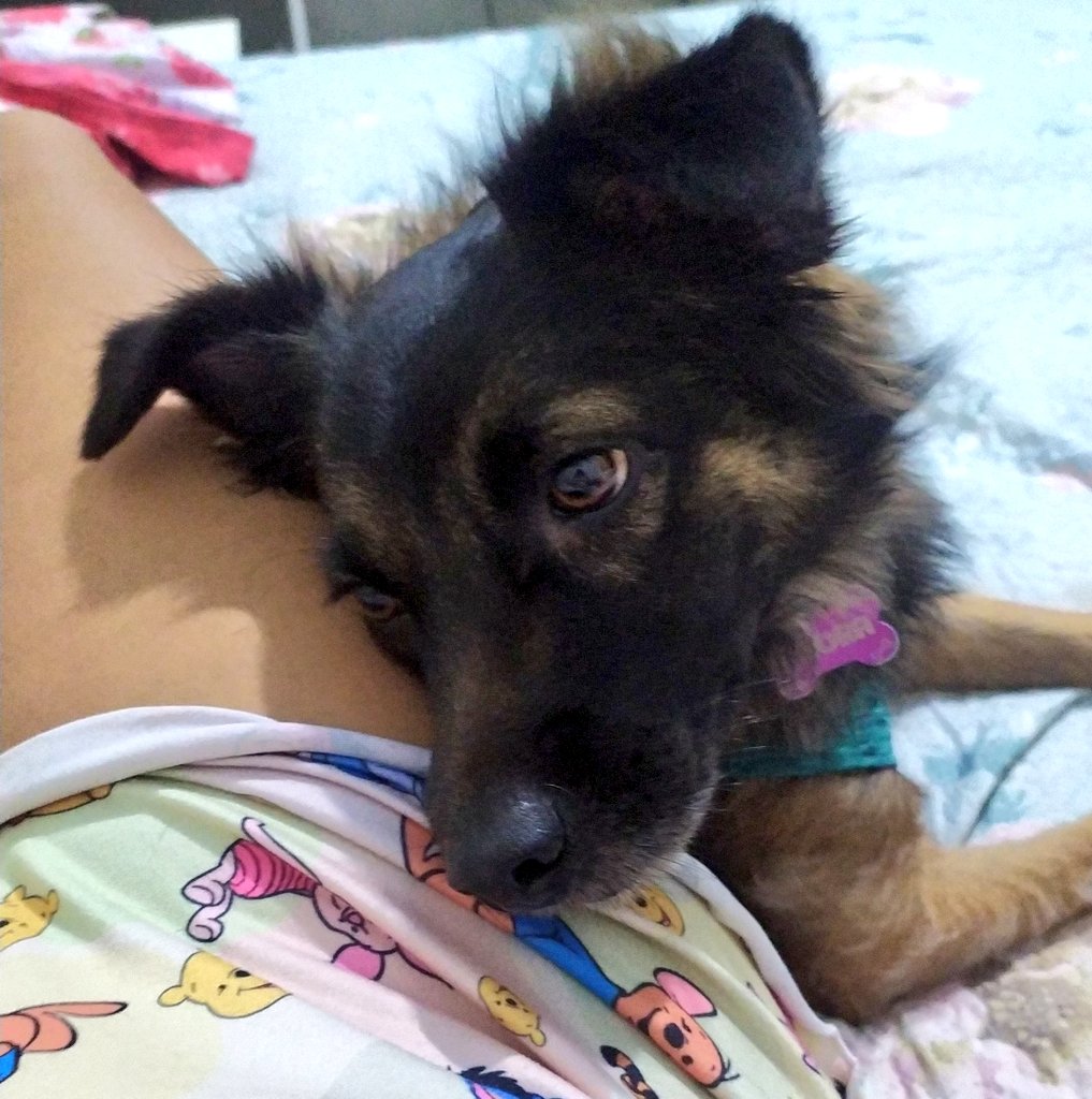 brendapb_'s tweet photo. My soulmate... 🥺🥰
É por você que eu permaneço! https://t.co/CIxBJCOM1l