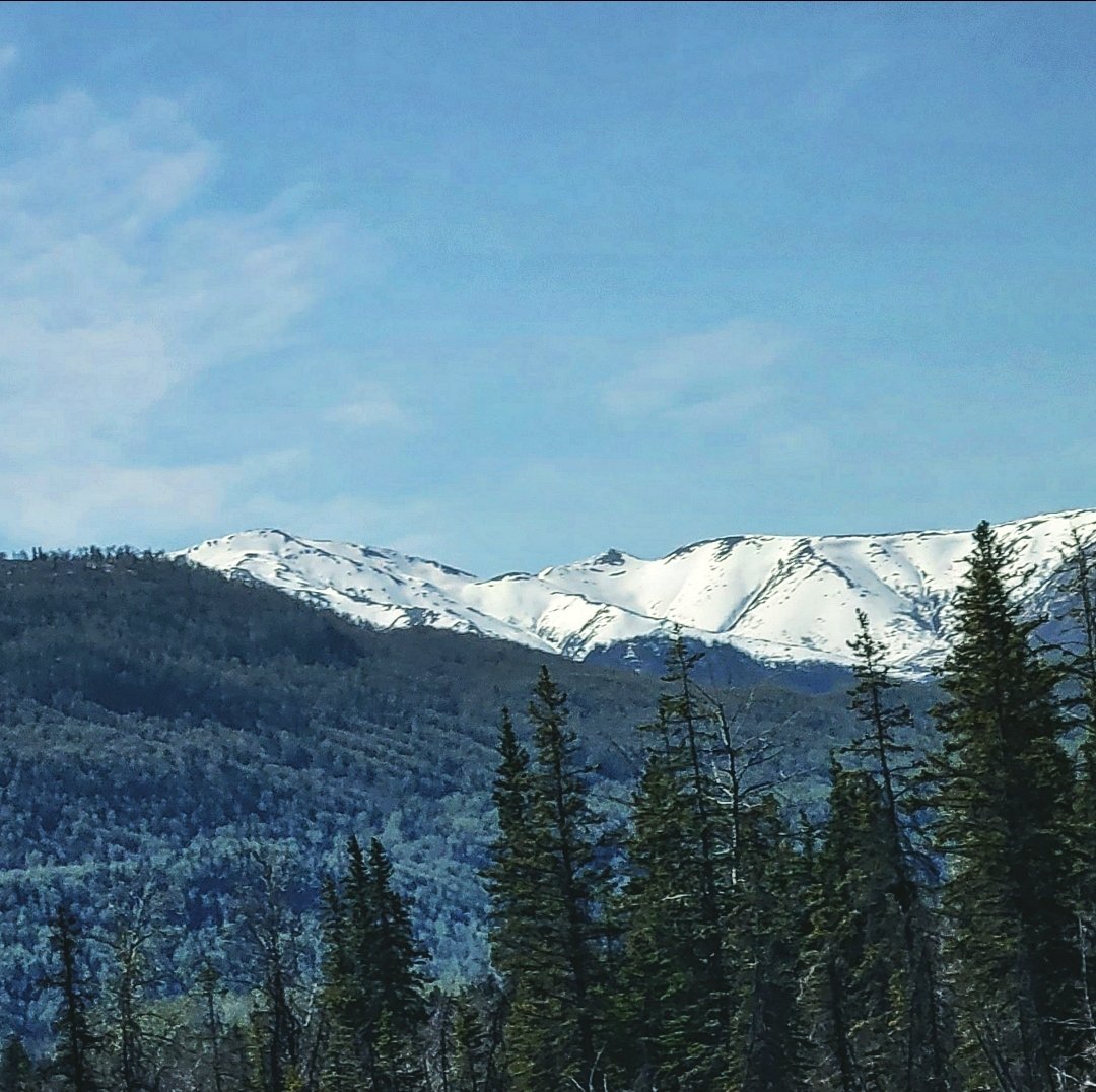 Majestic mountains, snowy peaks, and endless green #MountainMagic #SnowySplendor #NaturesBeauty #SkyHigh #TreeHuggers #GreenTherapy #OutdoorEscapes #ForestWanderlust #WildernessWonder #NatureInspires #green #trees #nature #forest