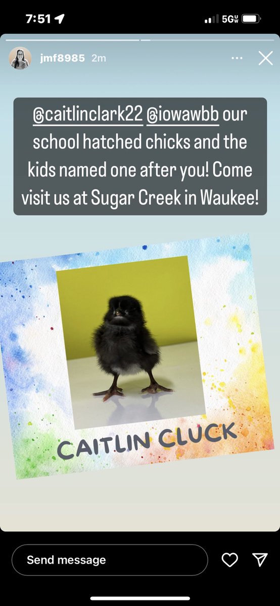 Stacy Hansen tweet media