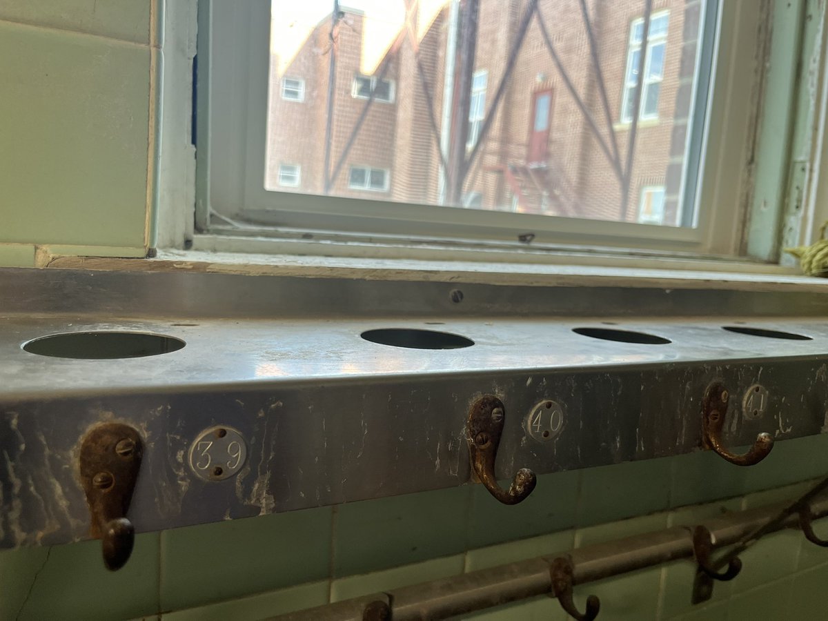 Mabyn Grinde tweet media