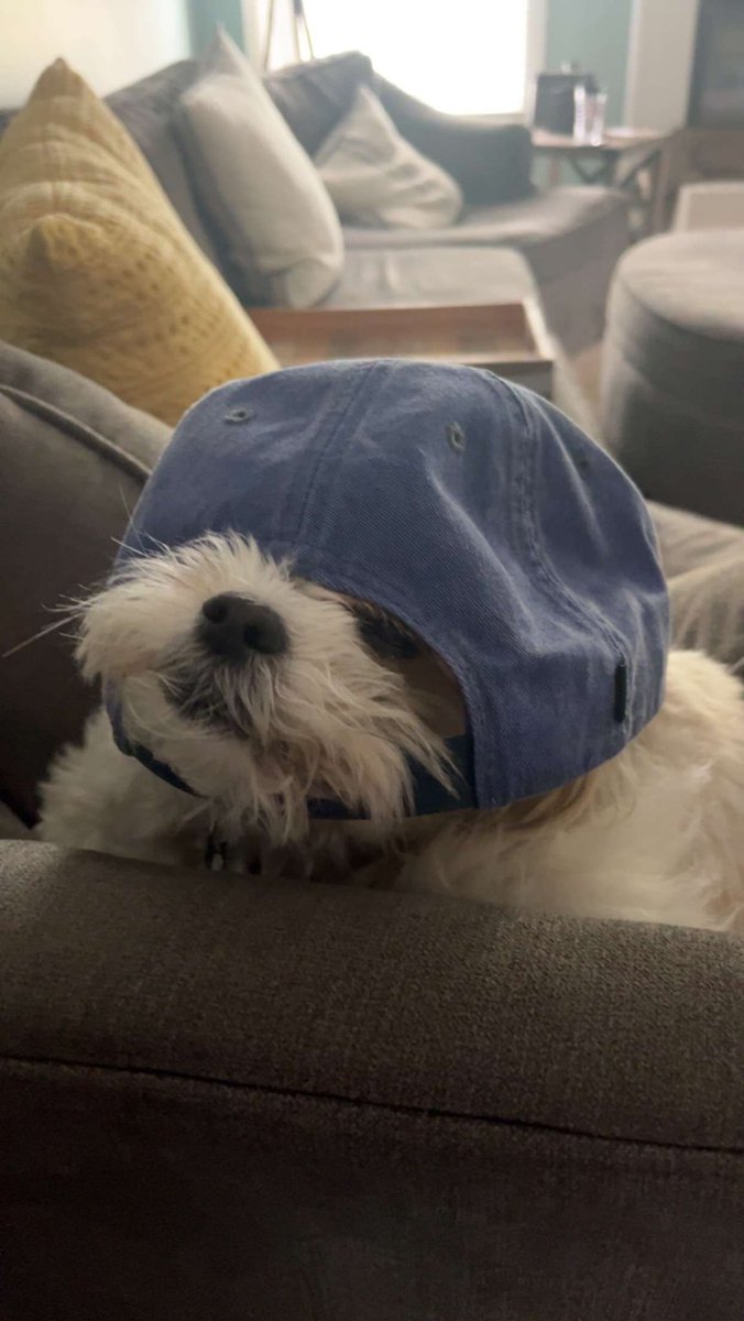 Luke Marble tweet media