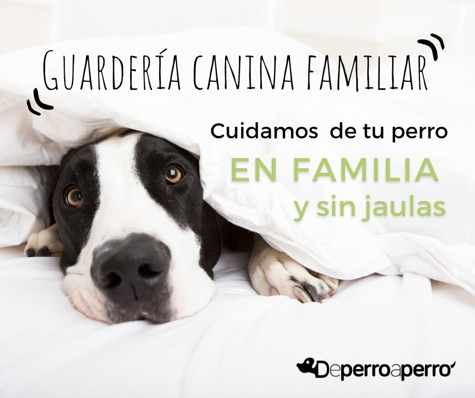 De perro a perro tweet media