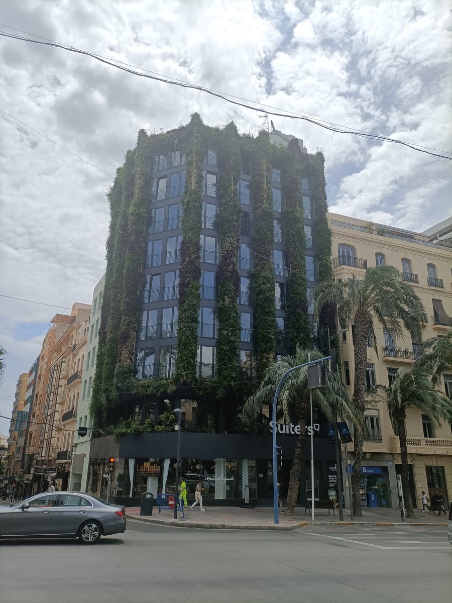 Espectacular el jardín vertical del edificio #Suiters en #Alicante. Un gran trabajo del equipo de <a href="/SingularGreen/">SingularGreen</a>  Enhorabuena!!👏👏👏 Más de 360m2 vegetados, 10.900 plantas, 40 especies