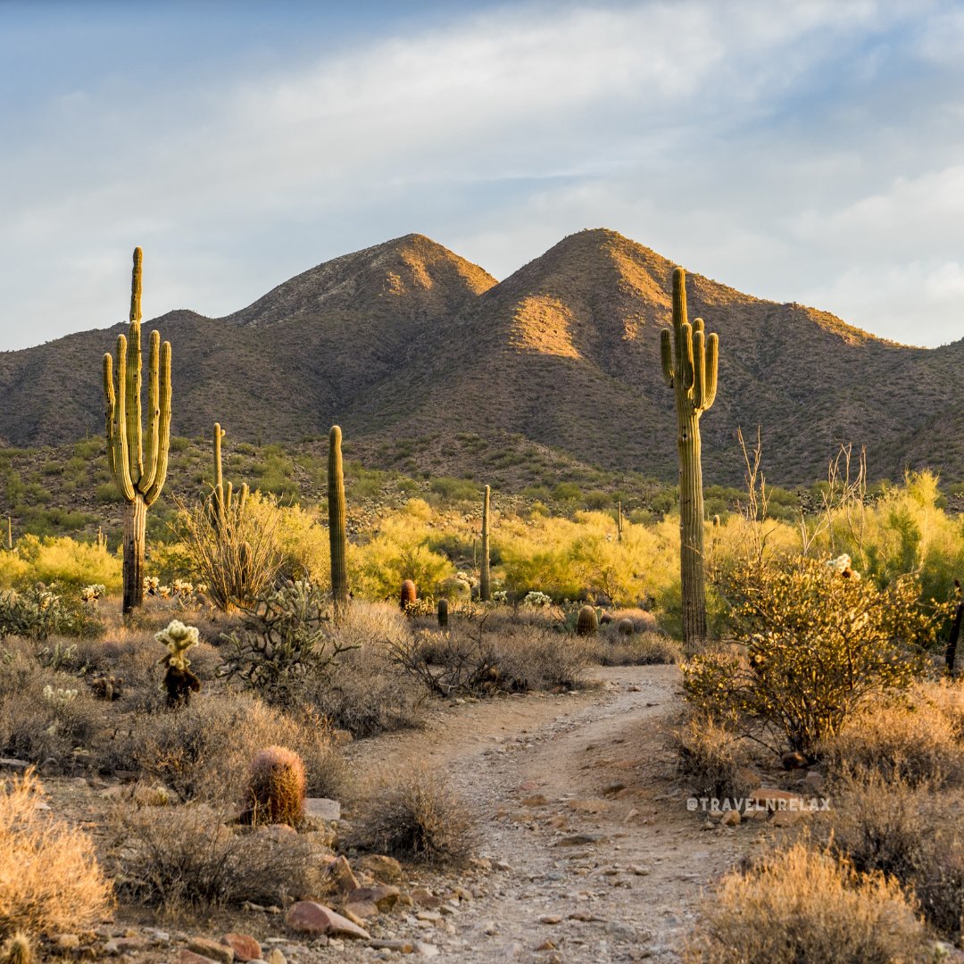 From saguaros to sunsets 🌵The Sonoran Desert in Scottsdale, Arizona is a sight to behold! 
travelnrelax.com/all-inclusive-…
Blog : travelnrelax.com/common-mistake…
#Arizona #SonoranDesert #grouptravel #booking