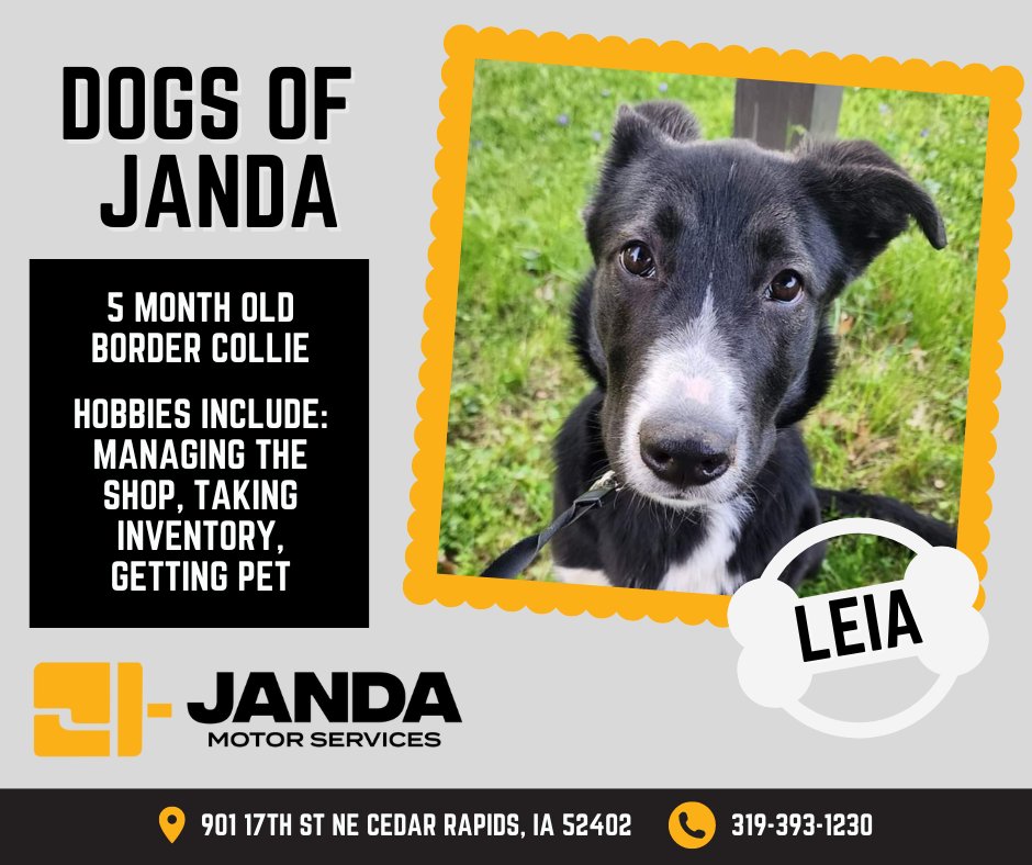 Janda Motor Services tweet media