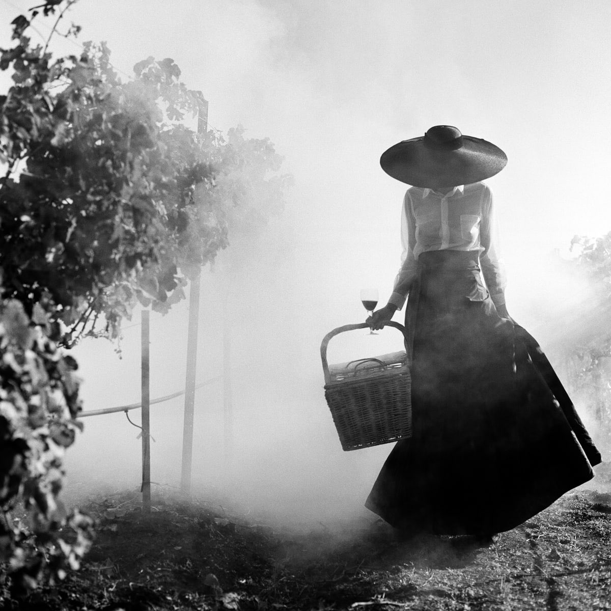 ‘The good life is one inspired by love 
and guided by knowledge.’

Bertrand Russell, What I Believe, 1925

📷 Rodney Smith, Nappa Valley