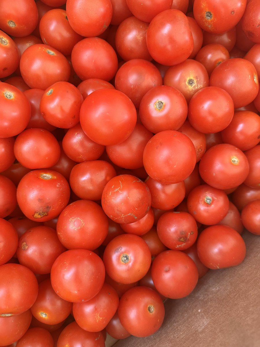 MindFoundation_'s tweet photo. We are dedicated to making an impact in our community. Today we’re serving nutritious vegetables to the underprivileged families in Leachville 🧡.
Comment below with your favourite vegetable 😄. #millennialmindset #photodump https://t.co/0C1gRRoNQ9