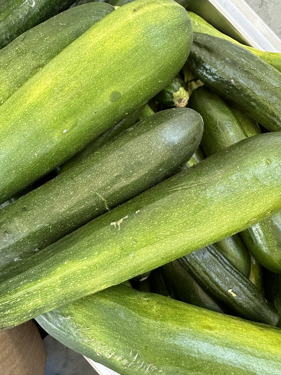 MindFoundation_'s tweet photo. We are dedicated to making an impact in our community. Today we’re serving nutritious vegetables to the underprivileged families in Leachville 🧡.
Comment below with your favourite vegetable 😄. #millennialmindset #photodump https://t.co/0C1gRRoNQ9