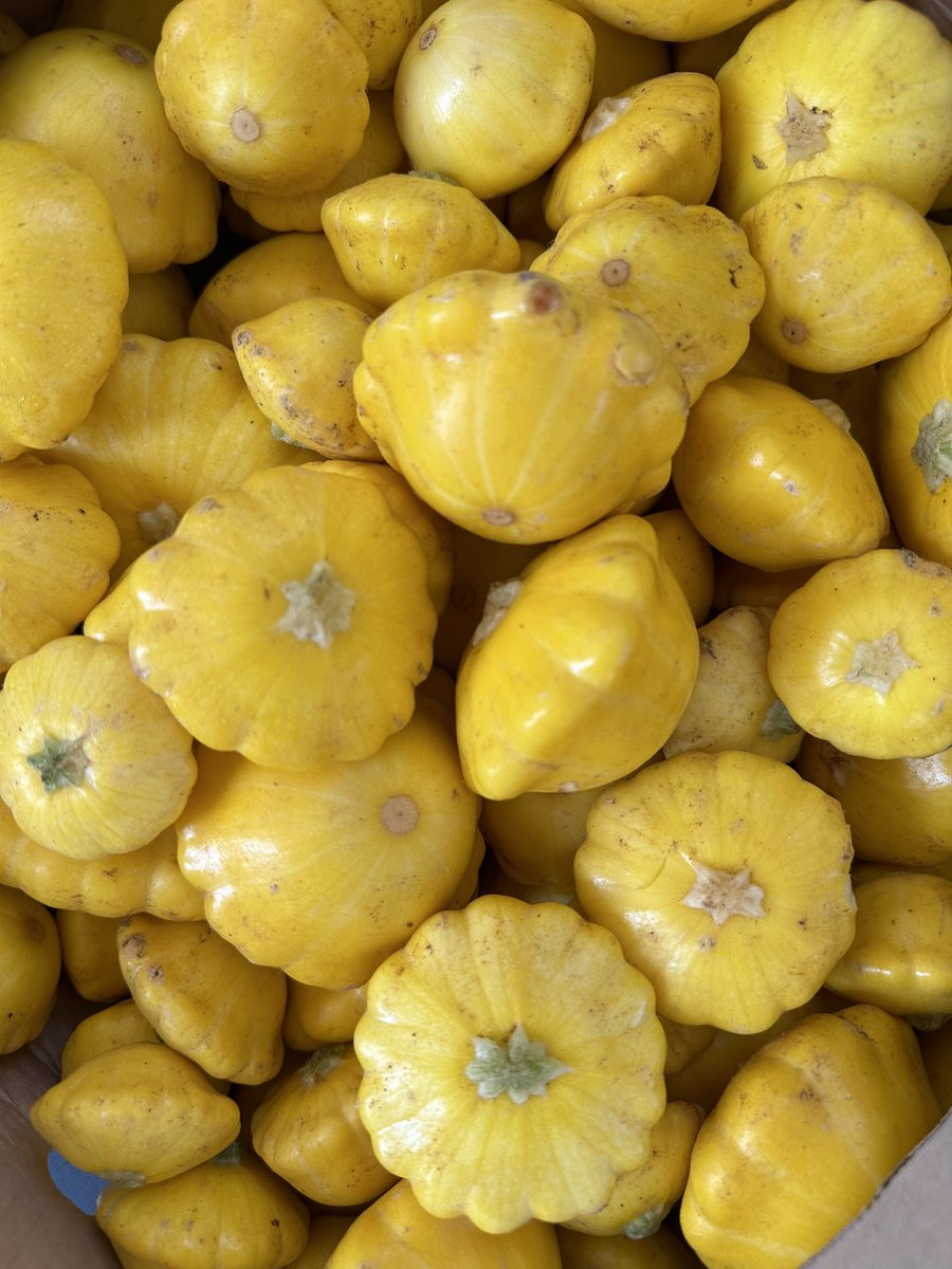 MindFoundation_'s tweet photo. We are dedicated to making an impact in our community. Today we’re serving nutritious vegetables to the underprivileged families in Leachville 🧡.
Comment below with your favourite vegetable 😄. #millennialmindset #photodump https://t.co/0C1gRRoNQ9