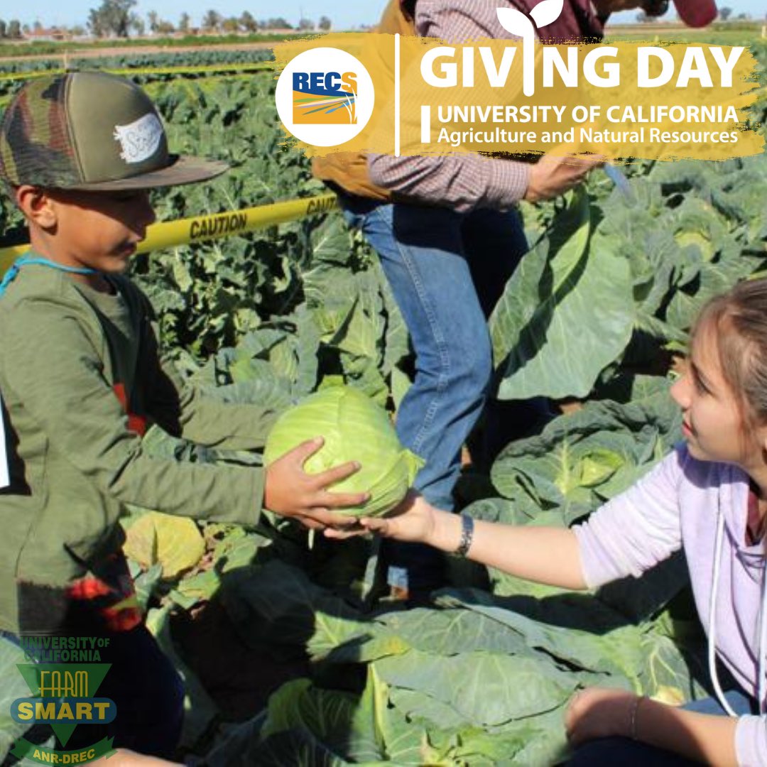 Today is #GivingDay ! From noon to noon we are asking our #community to help us reach our goal of $1,000 to continue supporting programs, free community events, and #workforce development! Join us this Giving Day to help us serve generations to come! 

donate.ucanr.edu/?rec=Desert+RE…