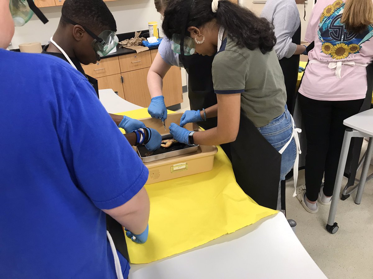 Sarah Perry tweet media