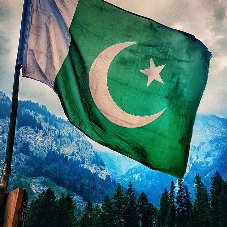 Maryam Rajpoot tweet media