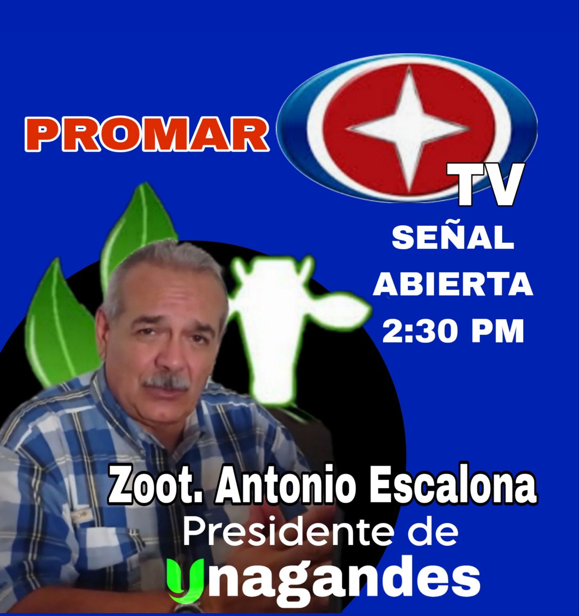 UNAGANDES (@unagandes) on Twitter photo 