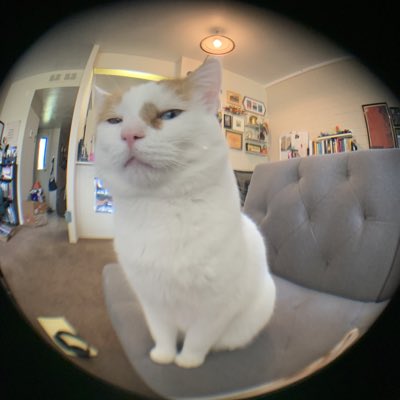 illcaranati's tweet photo. #NewProfilePic https://t.co/7qtwI6WIjC
