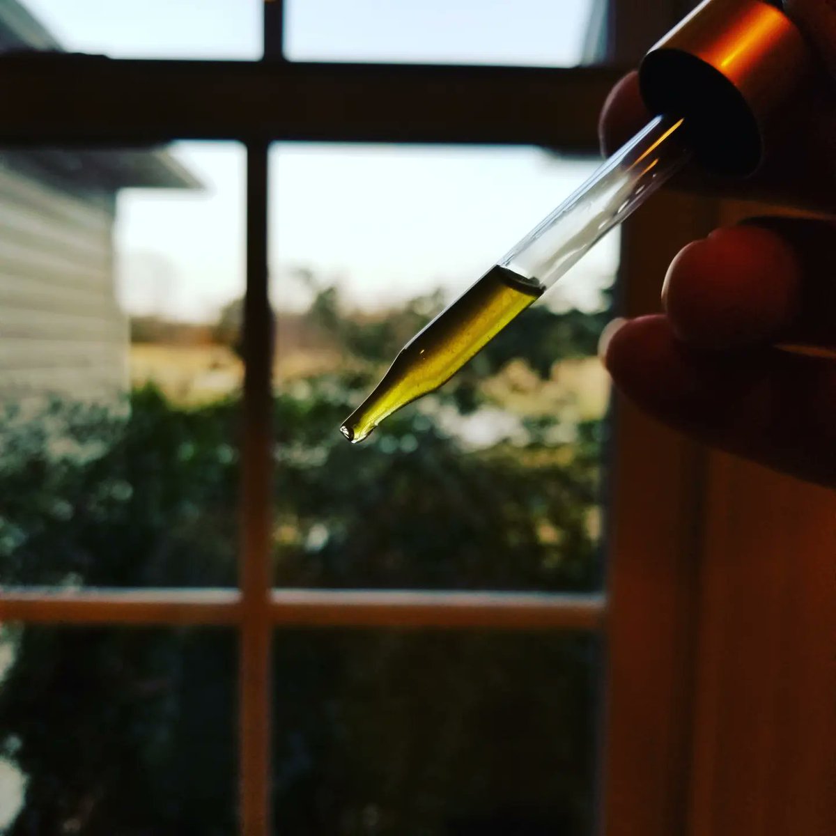 whitthemp's tweet photo. Hemp has changed my life in so my ways for the better!  Follow our story at https://t.co/W5YrroWZ0P (Friends and Family Sale 50% off!)
7 years as a Family Hemp Company and first in the state of North Carolina since 1938!  Continues today online at https://t.co/W5YrroWZ0P https://t.co/1SdvEMrgJg