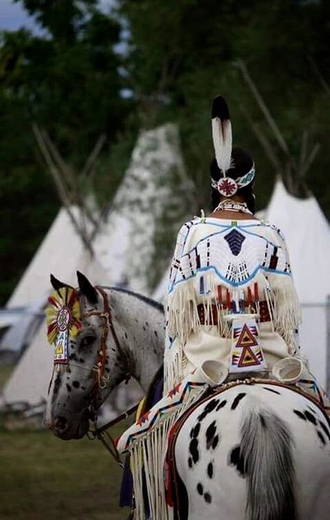 Native_Americans_wolf tweet media